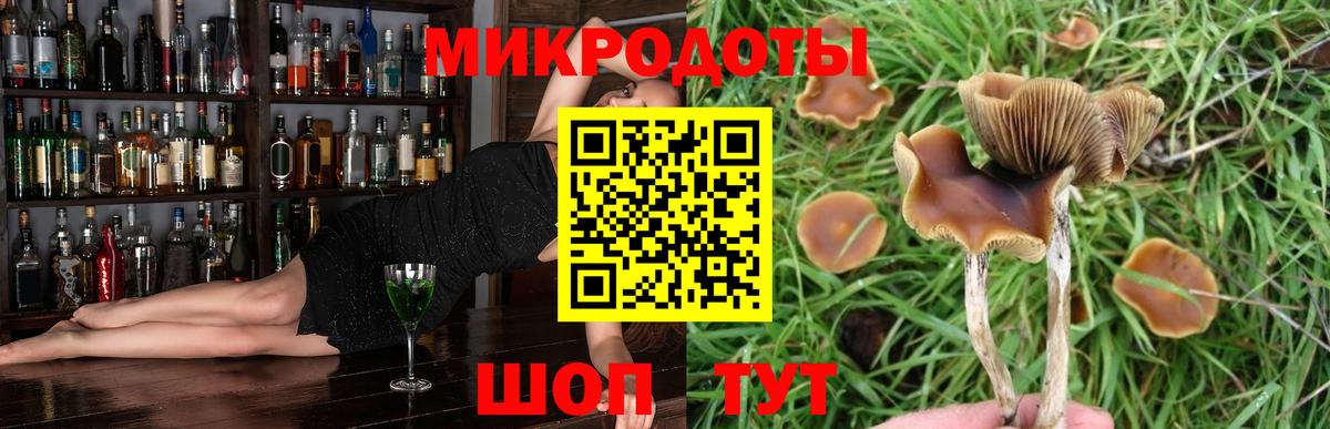 Галлюциногенные грибы Psilocybe  Вход с VPN  Нововоронеж 